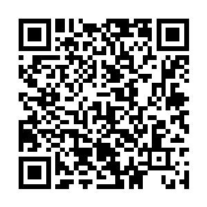 所以看起来吴雨星每一下都打在了丁长生的胳膊上二维码生成