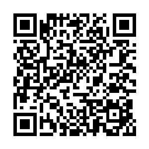 所以瞧着送来的猎物凌菲便在心里想午饭的菜色二维码生成