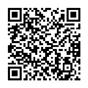 所以神庭竟果断给血海战舰也披挂上了这样的铠甲二维码生成