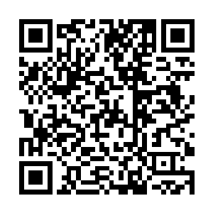 所以秦宇被四位老祖给赶出来并没有让白全几人怀疑二维码生成