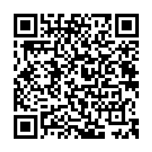 所以秦时没有等她忙完而是直接回去等次日再来二维码生成