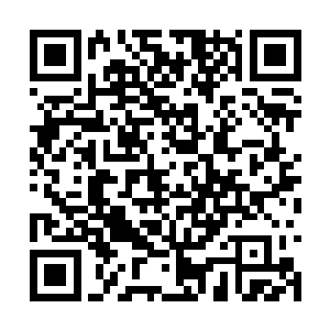 所以第二天收留楚兰的那家番族人就被逐出了族落二维码生成