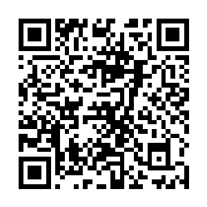 所以红色复仇者也需要一个比较先进的英雄来帮助他们二维码生成