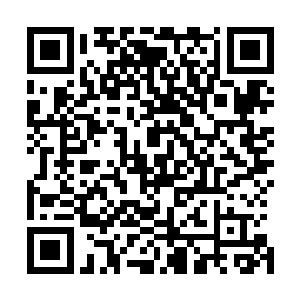 所以经常偷换当地牌照的大众轿车一路上都没受到什么查验二维码生成