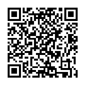 所以能把注意力关注到一个个从长桌前走过的姑娘选拔上二维码生成