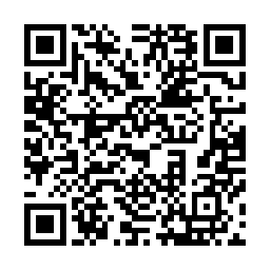 所以苏凡现再也是想要在开学之前带着云思凡好好的玩一玩二维码生成