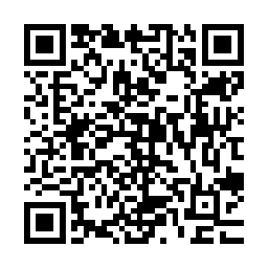 所以苏凡自然也是不想让圣庭就这么等待着那么衰弱期的到来二维码生成