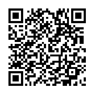 所以苏落这支队伍的整体实力都有了很大的提升二维码生成