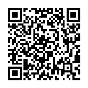 所以虽然距离第一个三月之期只剩下一个多月的时间二维码生成