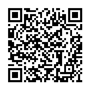 所以让张立武继续对宗伟江展开强大的心理攻势二维码生成