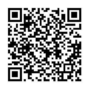 所以谁特喵会脑子坏掉的花仙晶买这玩意儿来折腾二维码生成