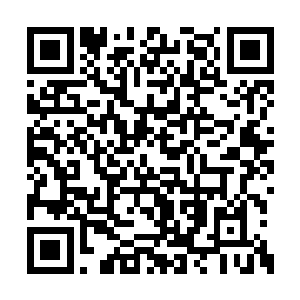 所以豹哥便认为只要几分钟以后猴子的人马一来二维码生成