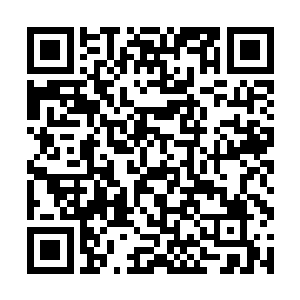 所以费多托夫选择了比较保守谨慎但是更安全的战术二维码生成