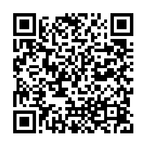 所以赵家淮也很疑惑陆为民怎么会这么看好民盟二维码生成