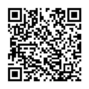 所以赵灵图师兄弟几人身上的愿力珠之类的都在他手上二维码生成