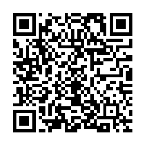 所以身怀生命能量本源的生命之子才会那么宝贵和被众生物垂涎二维码生成