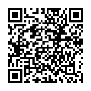 所以迅速的拔出了悲风剑然后纳灵法狂吸了一阵的胶水二维码生成