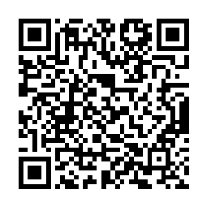 所以还真的只能用从鬼魂那里买来的狩猎弯刀顶一顶二维码生成