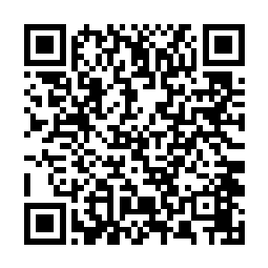 所以这一日神赐部落大小家族很多人都会赶来神赐城二维码生成