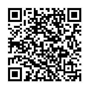 所以这一次他一定要将之前丢掉的面子全都赢回来二维码生成