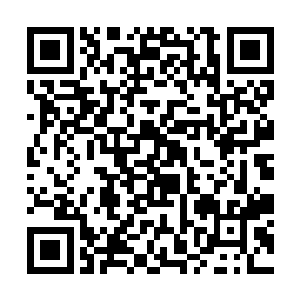 所以这一轮攻击可不是仅仅将狮虎兽身体上的毛打掉二维码生成