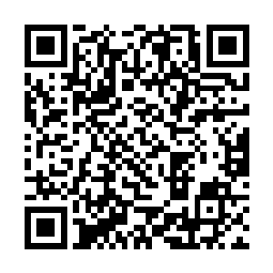 所以这些封杀同盟的前任成员们才纷纷表示如此立场二维码生成