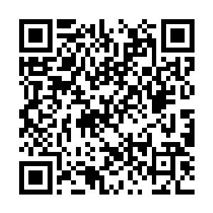 所以这些年灵儿能够维持这个状态都是龙神帮忙的二维码生成