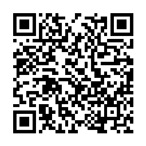 所以这些顶级山门和高级山门的人全都找上门来了二维码生成