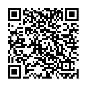 所以这会留在精园的小丫鬟早已经被吩咐提了热水过来二维码生成