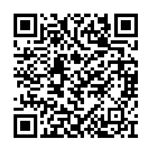 所以这位二道仙人顺理成章地接任了族长的位置二维码生成