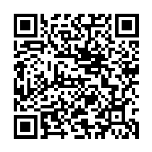 所以这条路上除了鸟鸣和风穿过树林的沙沙声之外二维码生成