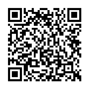 所以这次她们一早起来就去村里人家借了一些来二维码生成