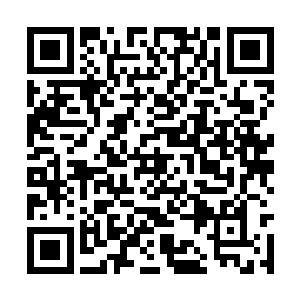 所以这里完全不受城主府其他地方发生火灾的影响二维码生成