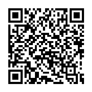 所以这里的所有尸兵都会非常焦虑和富有攻击性二维码生成