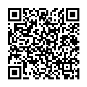 所以这里的灵气反而比某些石头集中的地方少了一些二维码生成