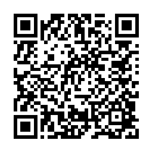 所以这里的驳杂的属性能量对她一点影响都没有二维码生成