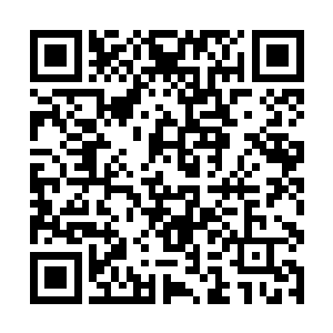 所以连矮子国的相扑都能够被列入奥运会的比赛项目二维码生成