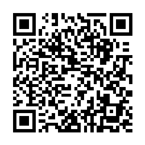 所以那两支队伍的人才会保护他们队伍里仅存的两个人二维码生成