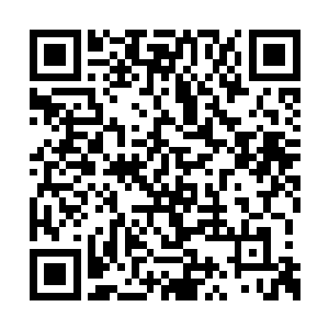 所以都说萧叶天是最有机会夺得十寒君王的人族二维码生成