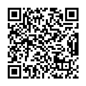 所以阿尔伯特的体力能不能跟随撒旦进行长时间的活动二维码生成