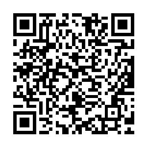 所以附近的山上只有一些小树苗和被牛羊啃的乱七八糟的野草二维码生成