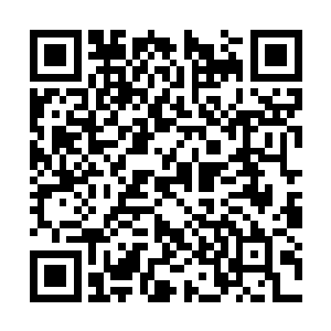 所以雷星峰可以清晰的看到整个大禁地的地形变化二维码生成