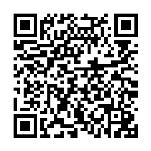 所以飞快地将那些信息分门别类地归置到了脑海内二维码生成