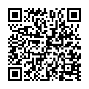 所以高扬希望托姆勒安排来接应的人可以提供备用枪二维码生成