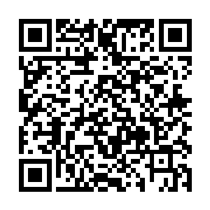 所以鹰眼天君并不知道韩风打算让两头帝级元兽对战二维码生成