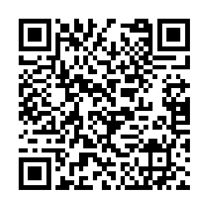 所以龙傲天再一次将精神力集中到了黑墨老鬼身上二维码生成