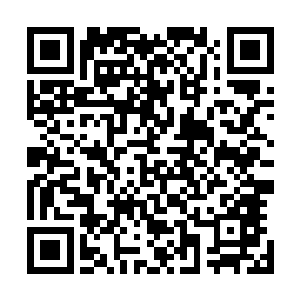 所以龙化后的身躯和七彩温神莲守护着他识海中的一丝清明二维码生成