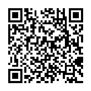 所带来的疼痛感都不如刚才后背传来的疼痛感的十分之一二维码生成