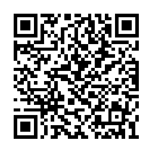 所忧虑的也只是这次自己可能是出力不讨好罢了二维码生成