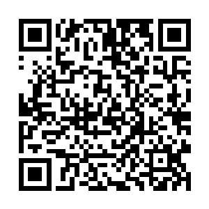 所有不能发出声音的法宝单元也同样以最刺耳的频率二维码生成